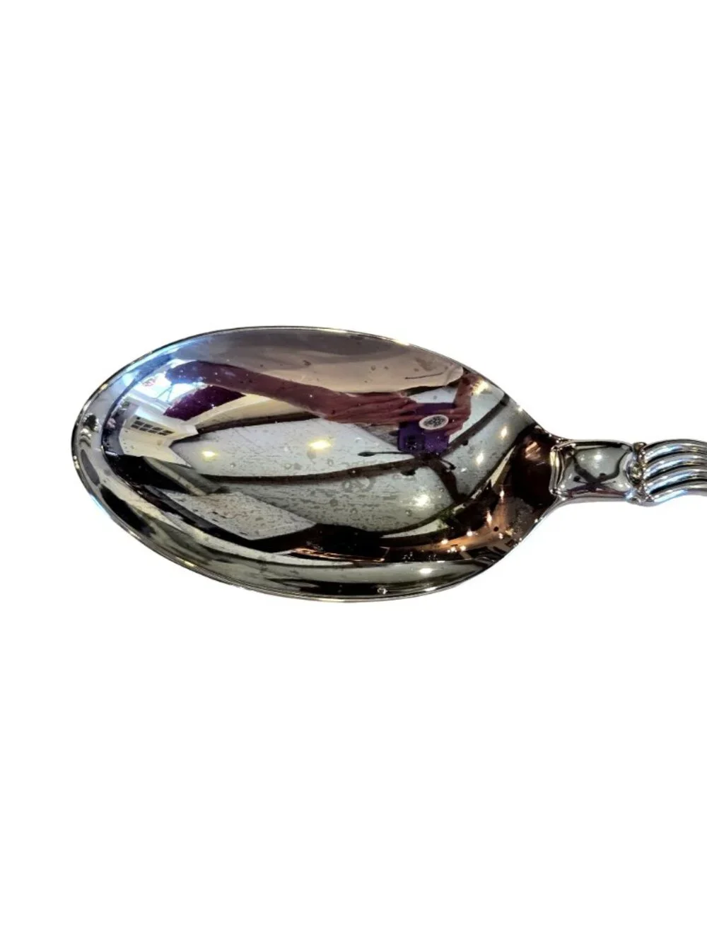 International Silver Company Silverplate Turkey Thanksgiving Serving Spoon NEW